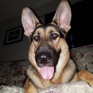 Meet your Posher, Drewdown